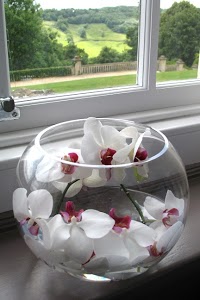 Garden Room Flowers   Wedding, Funeral and General florist in Bath 1098164 Image 6